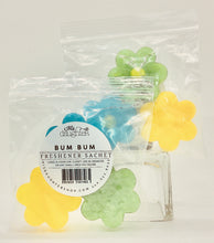 Aroma Therapy Fresheners