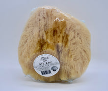 Natural Sea Sponge