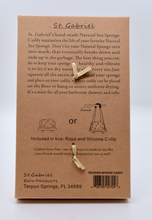 St. Gabriel Earth Friendly Natural Sea Sponge Caddy